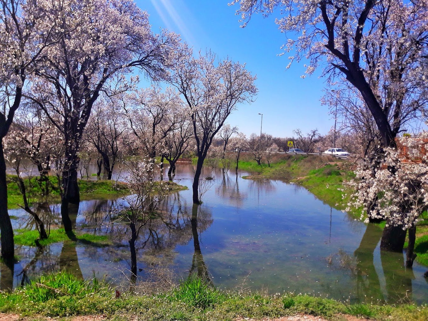 باغستان سنتی قزوین