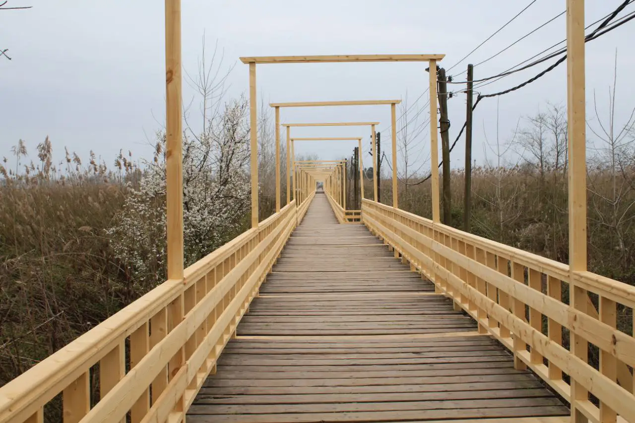 پل چوبی کیاشهر